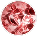 Ilustração de hemoglobinas