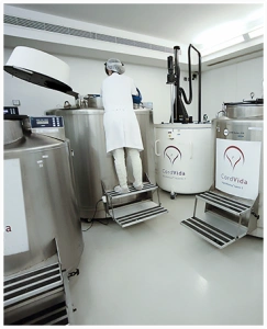 Imagem dos tanques de armazenamento de células-tronco da CordVida