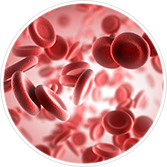 Ilustração de hemácias no sangue