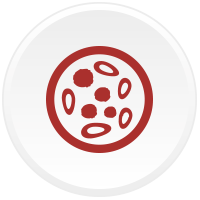 Talassemia
